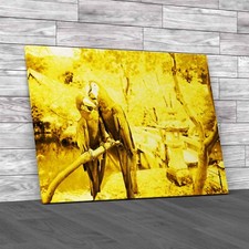 Blue Gold Macaw Yellow Canvas