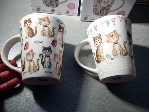 New boxed cute cat - new,