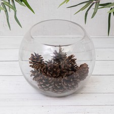 Clear Glass Flower Round Ball