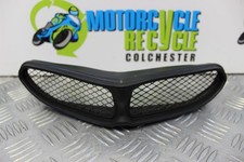 Kawasaki ZX6R Grill Air Intake