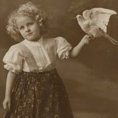 Easter girl taxidermy dove - girl,