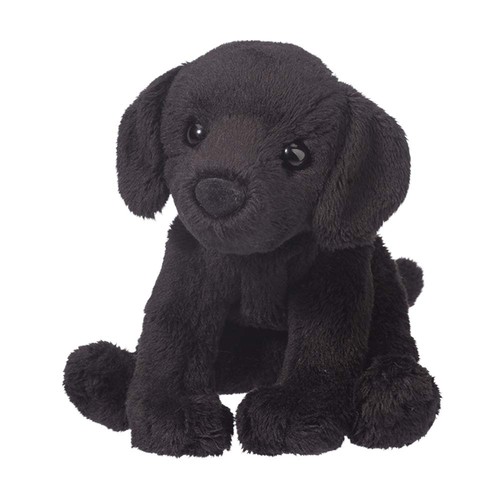 Douglas lucy black lab - douglas,