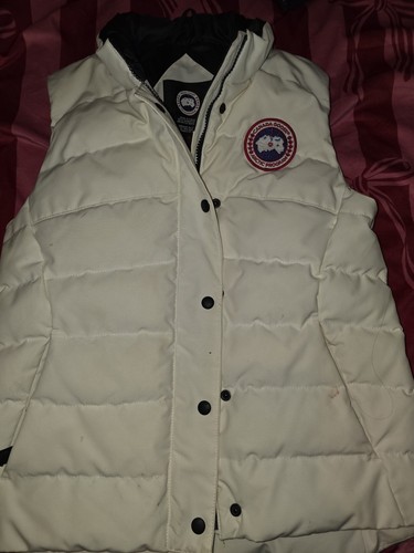 Canada goose arctic program - goose,
