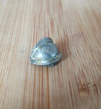 Epic 40k G Eldar Warlock Titan Shoulder Pad Bit 40000 Metal OOP Warhammer