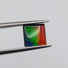 Loose AA Ammolite gemstone