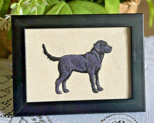 Labrador retriever dog - dog, breed