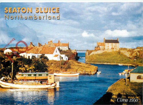 Picture postcard seaton - postcard>,
