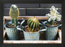 Cactus garden Framed Wall Art