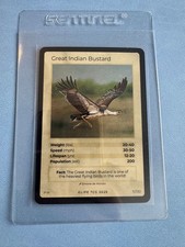 LIFE TCG Birds (Holos)