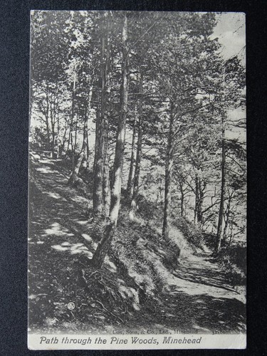 Somerset minehead path - somerset,