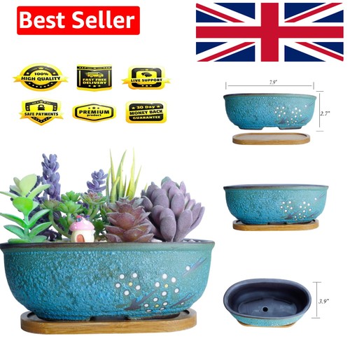 Ceramic succulent plant pot - ceramic,