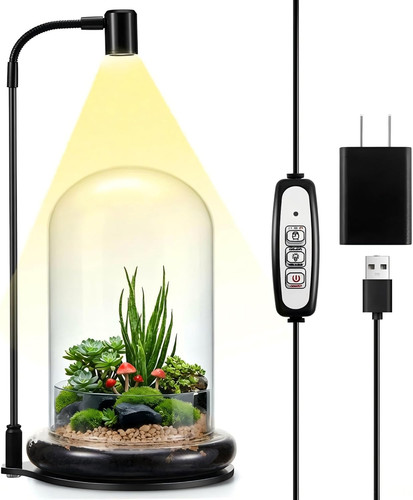 Plant terrarium kit with grow - plant,