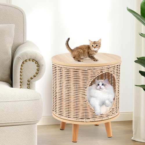Cat house - cat,