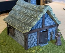 Medieval Cottage D&D Scenery -