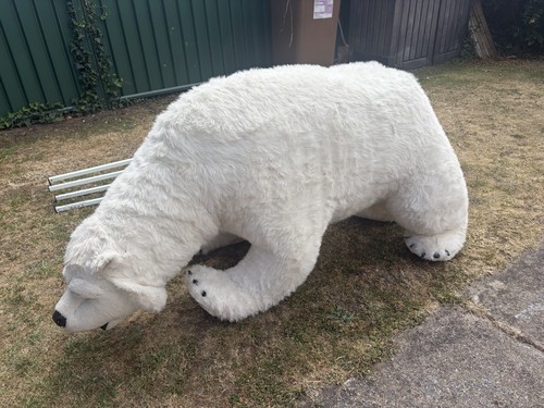 Life size polar - polar, bear