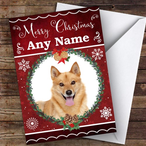 Finnish spitz dog traditional - finnish,