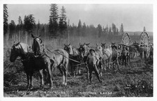 Postcard RPPC Logging in the