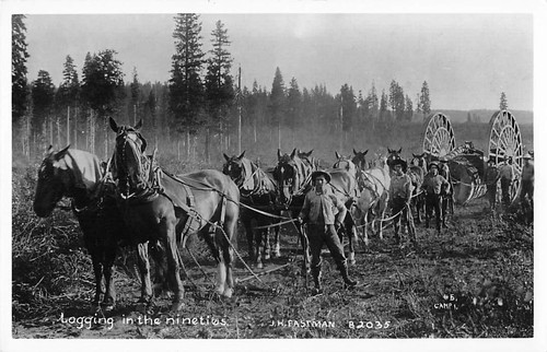 Postcard rppc logging the - postcard,
