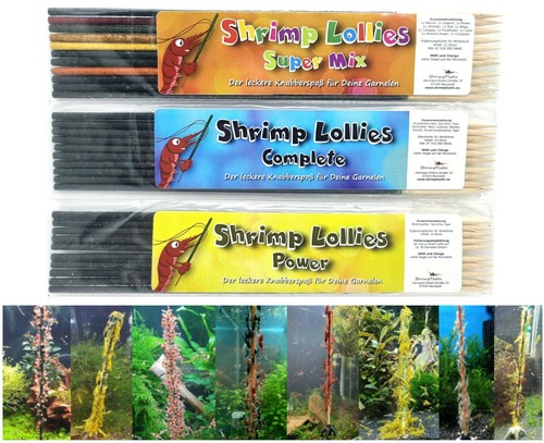 Shrimp lollies top seller set - shrimp,