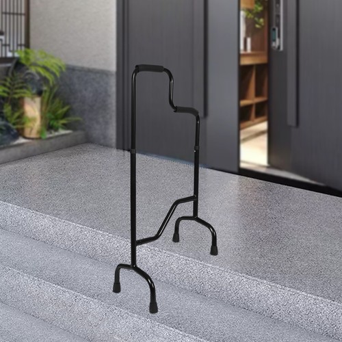 Stair climbing assist cane - stair,