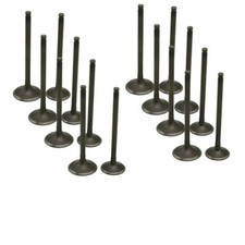 8Pair Intake & Exhaust Valves