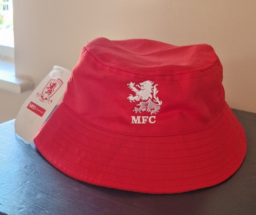 Middlesbrough official lion - official,