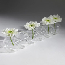 Serax Sixball Rene Barba Clear Glass Table Top Single Flower Vase