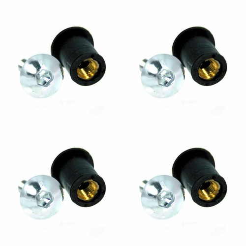 Silver license plate screw - license,