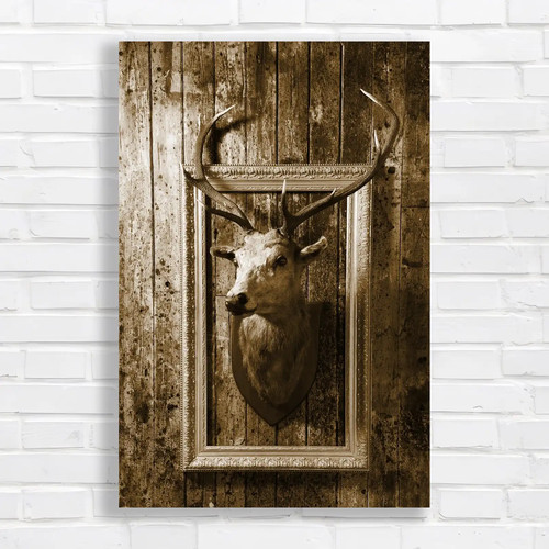 Unique stag display stuffed - stag,