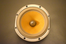 B&W Speaker Woofer