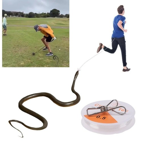 Fake rubber snake prank - rubber,