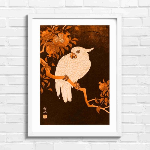 White cockatoo with - white,
