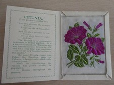Kensitas wix tobacco silk - tobacco,