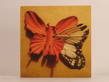 ESSIE JAIN WE MADE THIS OURSELVES (538) 10 Track Promo CD Album including Card S