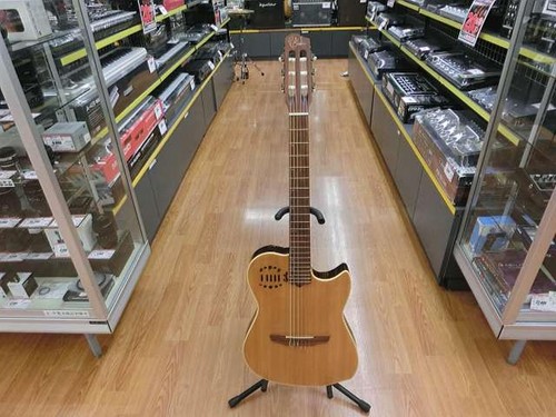 Godin multiac duet - , acoustic