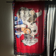 Lot Of 16 Indian Native