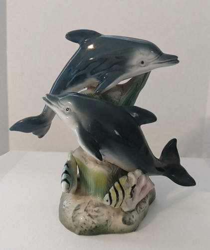 Dolphins zebra fish swimming - zebra,