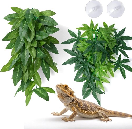 Realistic green hanging - hanging, vines