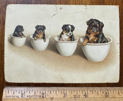 Victorian card puppies dogs - , in