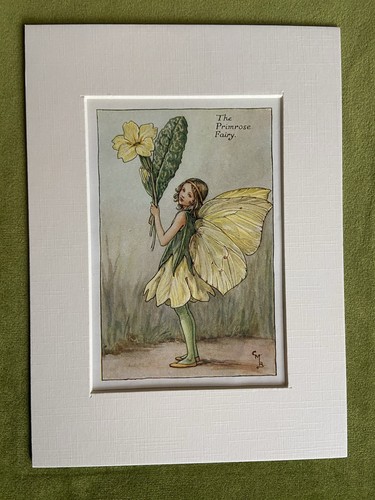 Primrose flower fairy - ‘primrose’,