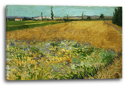 Canvas frames vincent van - canvas/frames,