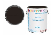 Classic Paint For Wolseley
