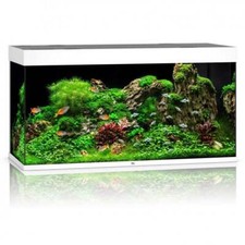 Juwel Rio 350L LED Aquarium /