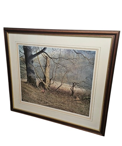 Signed geoff rollinson - w,