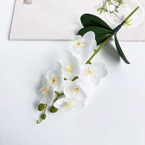 Phalaenopsis orchid printed - 3d,