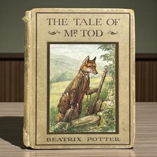 Book Potter Beatrix Tod Mr