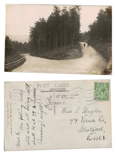 Vintage postcard among the - postcard,