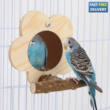 Bite resistant bird - bird, mirror