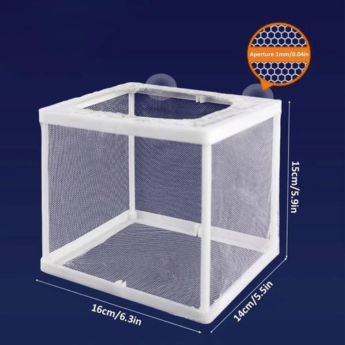 Aquarium fish tank - aquarium,