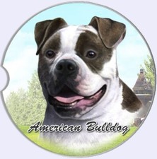 Pets dog absorbent - es,